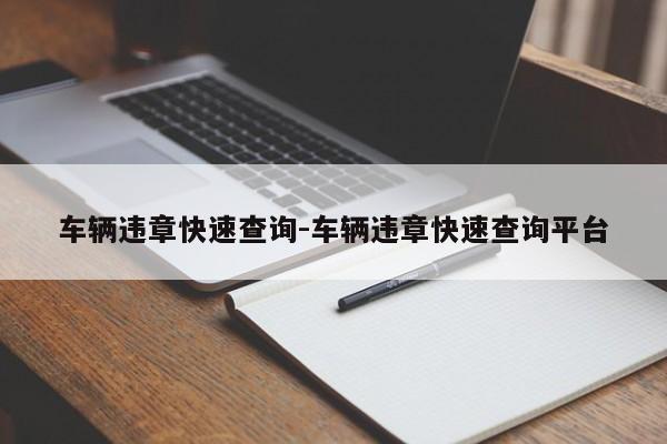 车辆违章快速查询-车辆违章快速查询平台