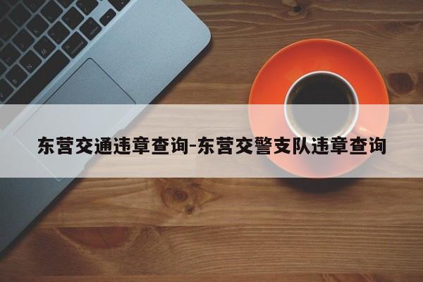 东营交通违章查询-东营交警支队违章查询