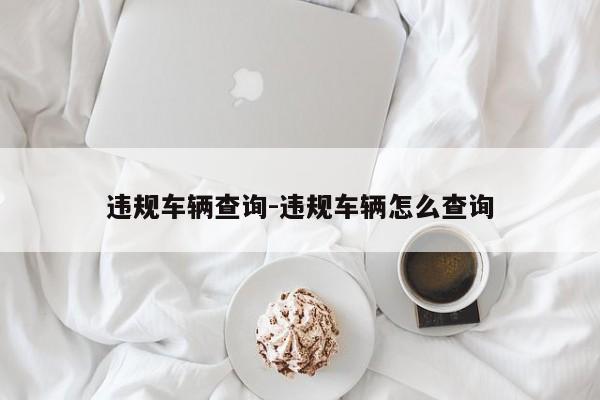 违规车辆查询-违规车辆怎么查询