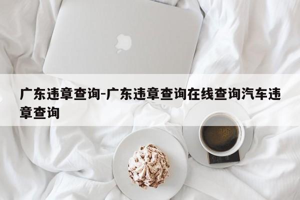 广东违章查询-广东违章查询在线查询汽车违章查询