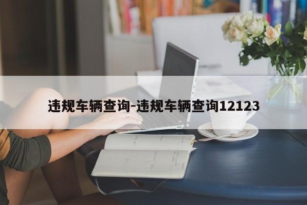 违规车辆查询-违规车辆查询12123