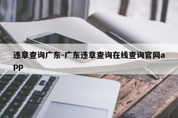 违章查询广东-广东违章查询在线查询官网app