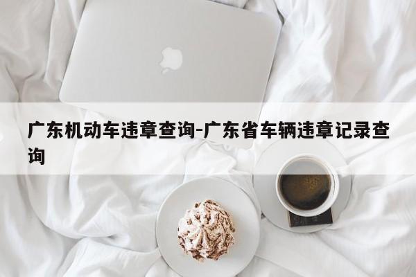 广东机动车违章查询-广东省车辆违章记录查询