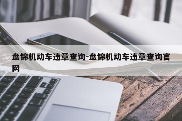 盘锦机动车违章查询-盘锦机动车违章查询官网